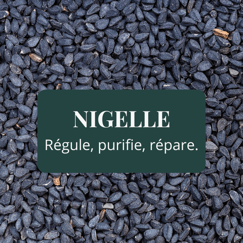 Graines de nigelle noire cumin noir huile végétale purifiante réparatrice régulante anti-acné naturelle