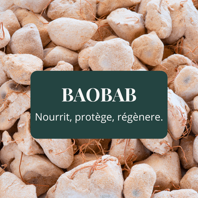 Graines de baobab africain ingrédient naturel nourrissant protecteur régénérant pour cosmétiques naturels