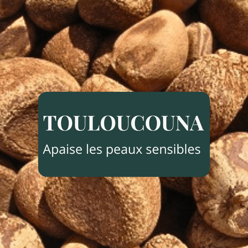 Noix de touloucouna carapa procera huile végétale apaisante calmante pour peaux sensibles et réactives